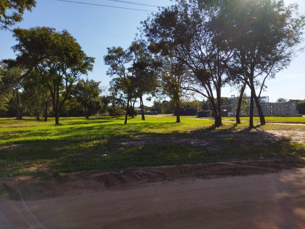 Terreno - Venda - Rod. Pres. Castello Branco - Pardinho - SP